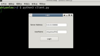 Python码农开发专属聊天软件，轻松赚取三千元